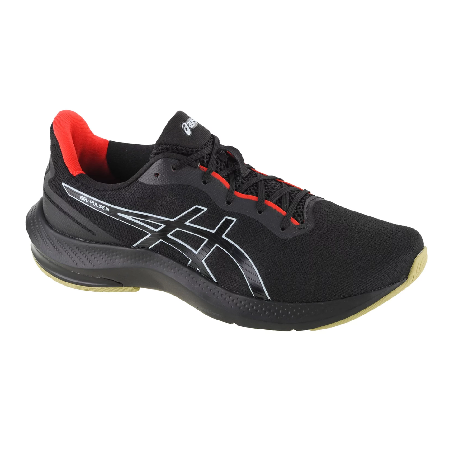 Asics Gel Pulse 14