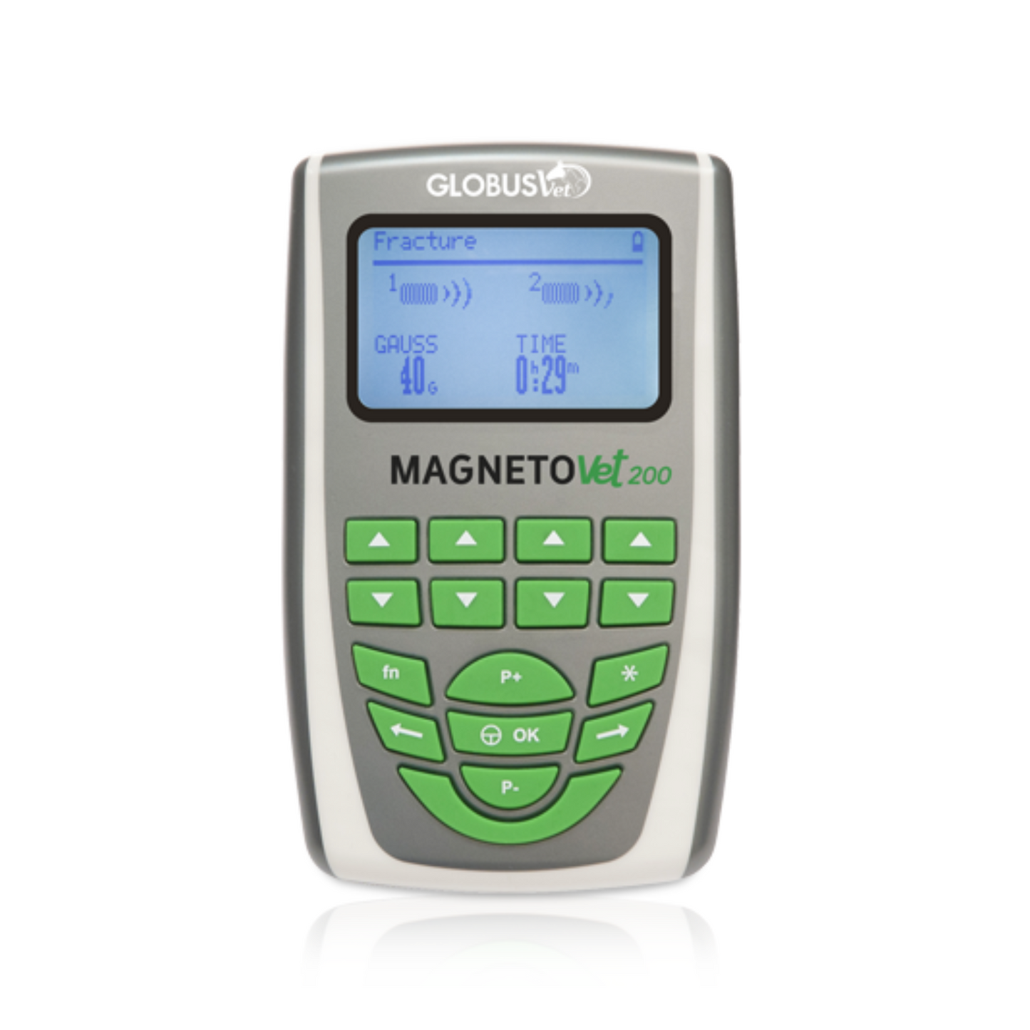 Magnetovet 200 con cuccia