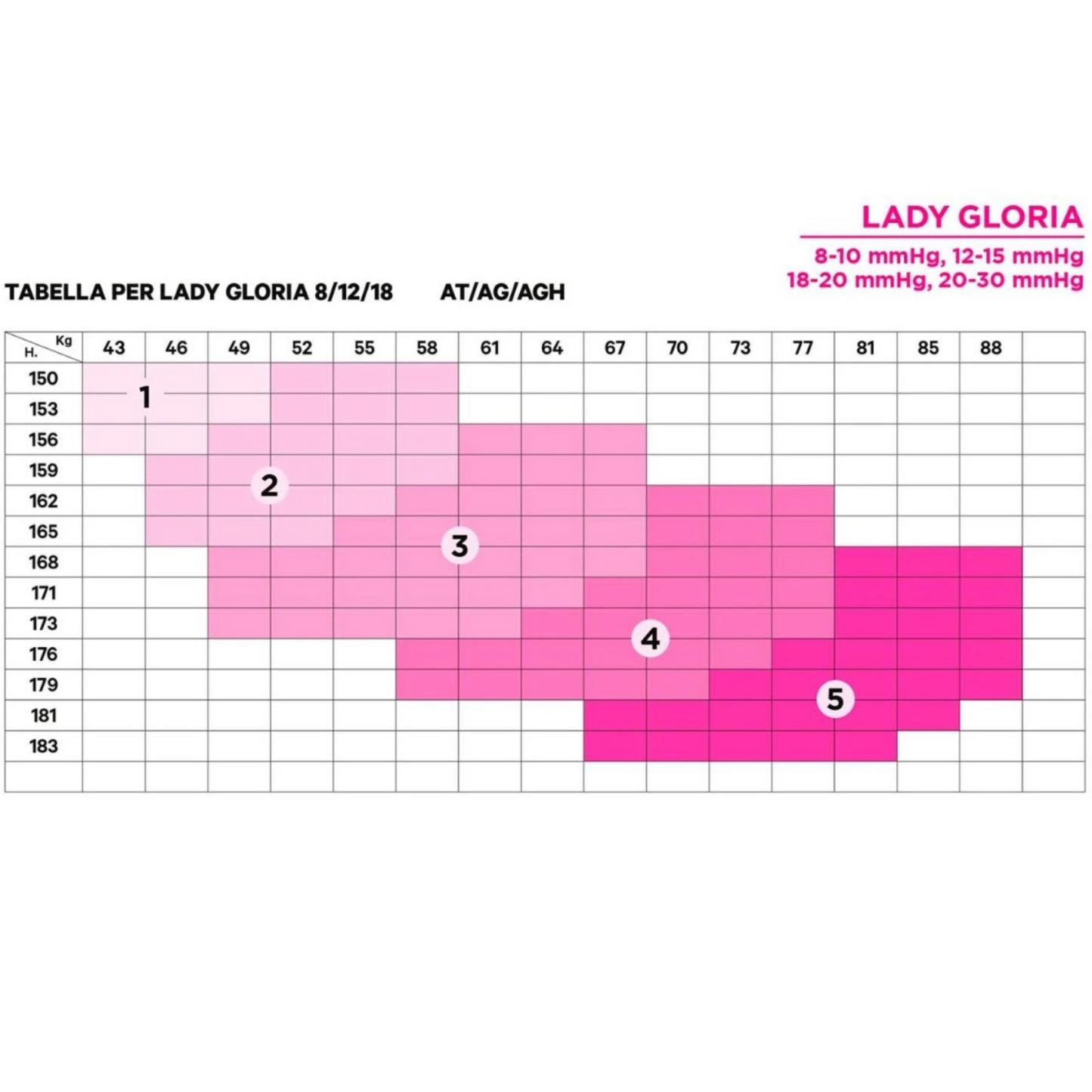 Autoreggente Lady Gloria 12 Punta Aperta