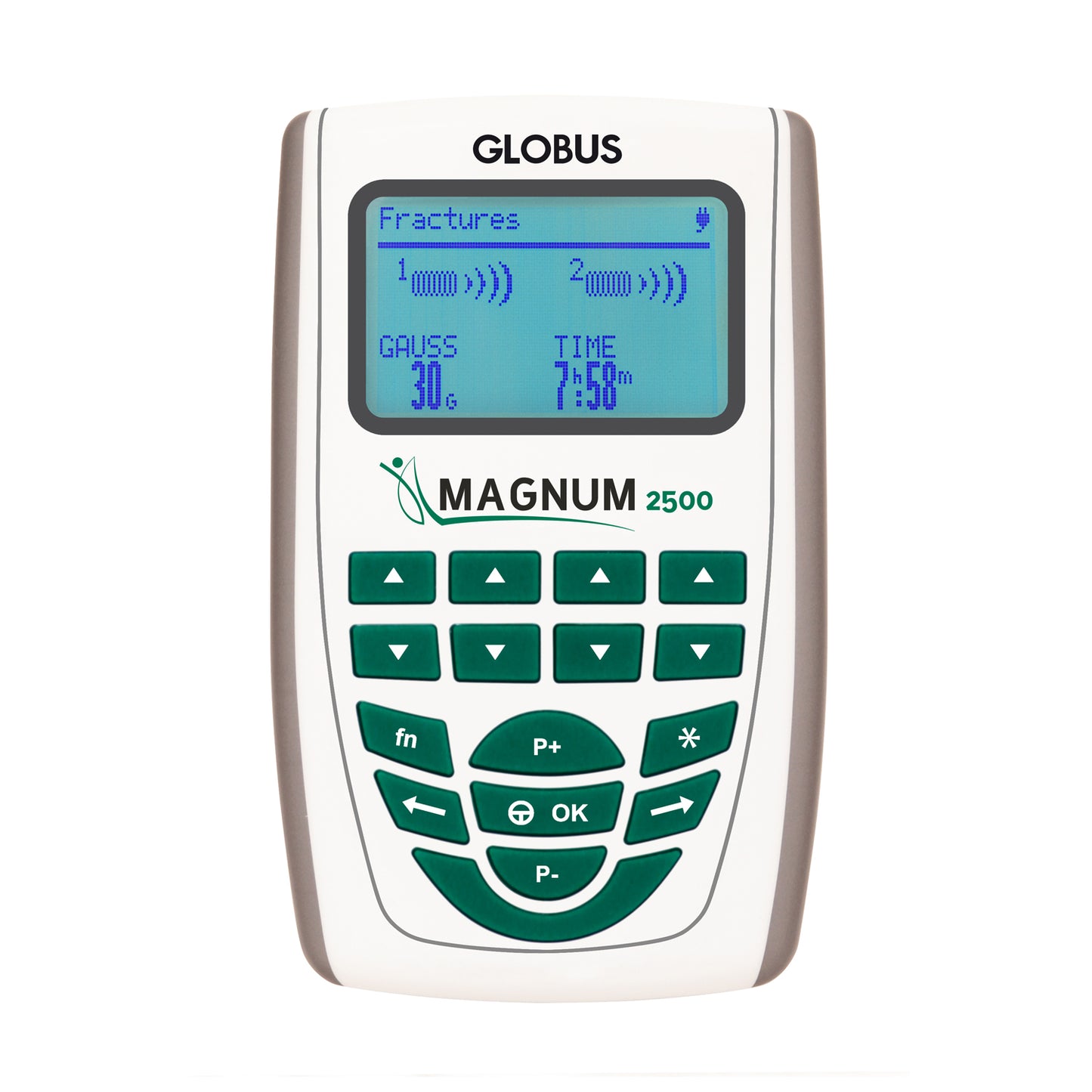 Magnetoterapia Magnum 2500
