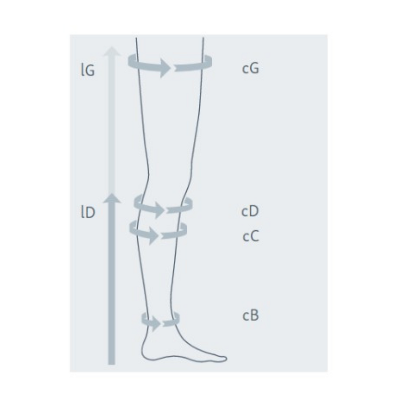 Autoreggenti antitrombo Mediven Thrombexin 18